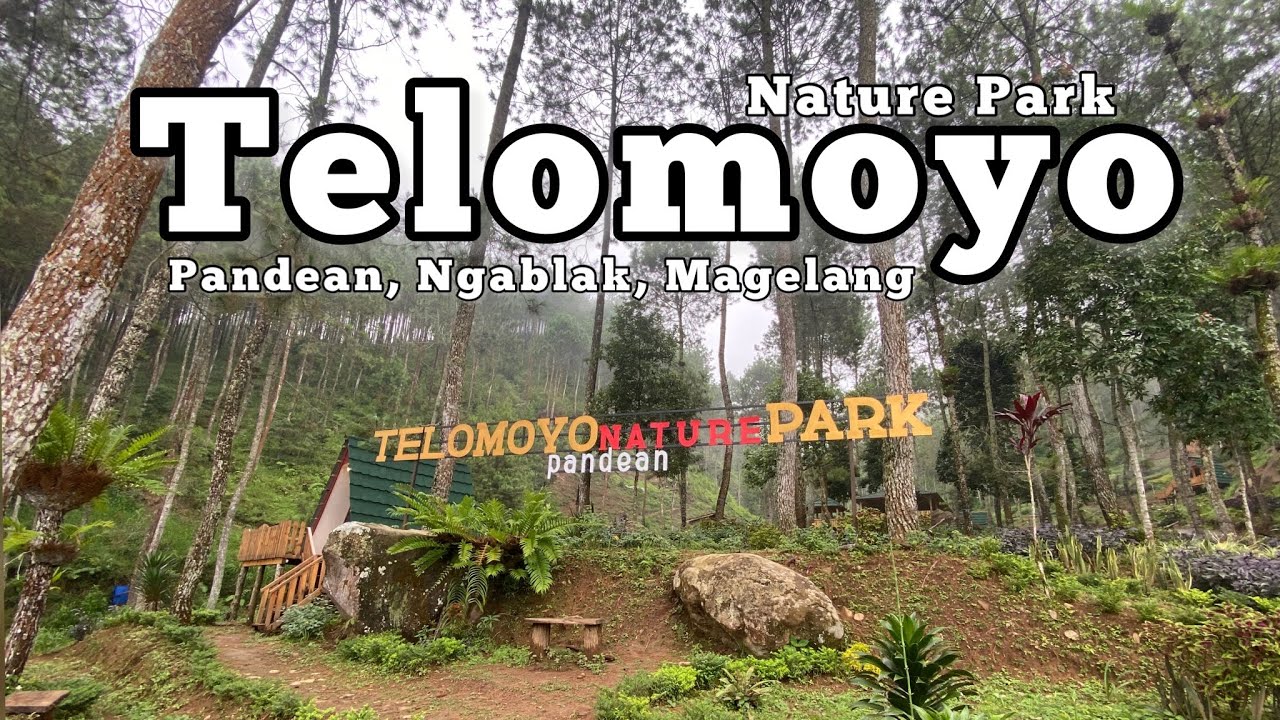 Telomoyo Nature Park: Surga Tersembunyi di Jawa Tengah